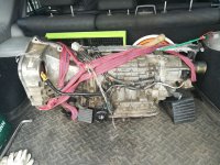 IMG_20200408_102821.jpg