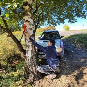 photo_24_2022-11-07_00-31-42.jpg